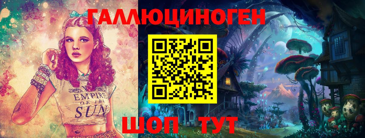 где найти   Галлюциногенные грибы Psilocybine cubensis  Вход с VPN  Ульяновск 