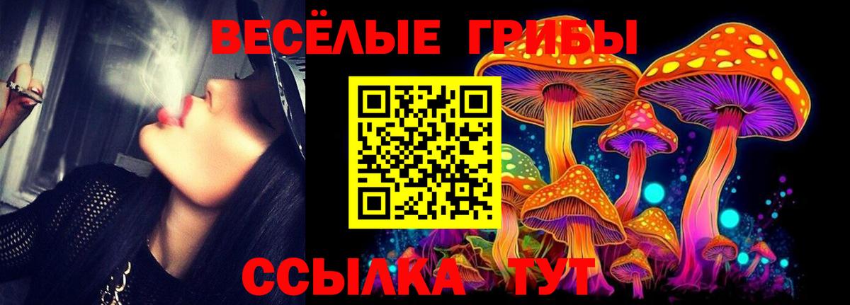 Галлюциногенные грибы прущие грибы Ульяновск